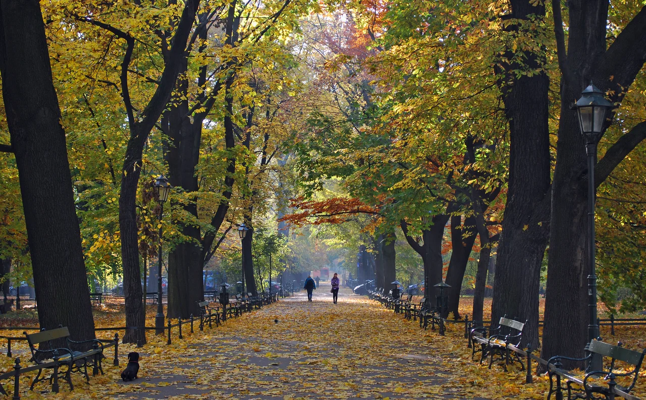 Jesienne Planty, Kraków, fotografia autorstwa Zygmunt Put
